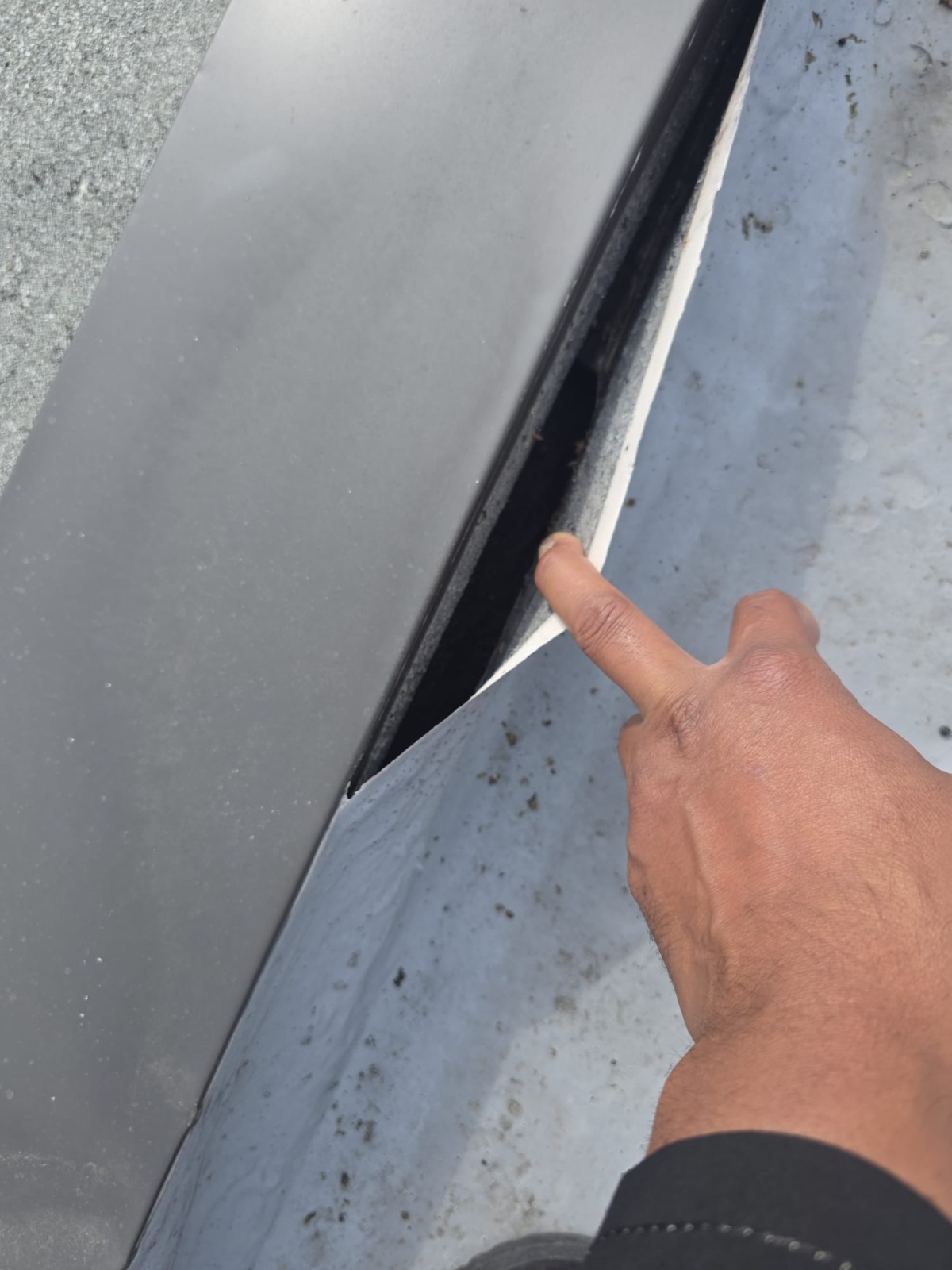 Roof inspection