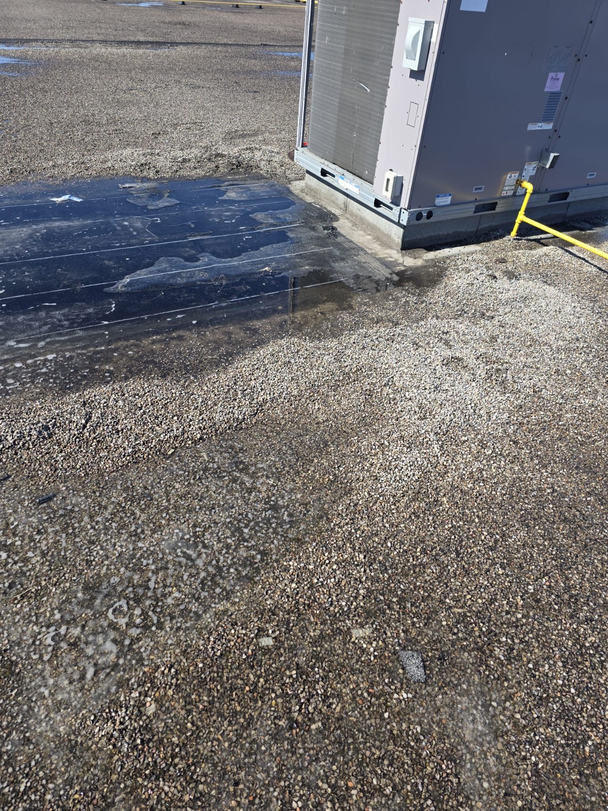 Roof inspection